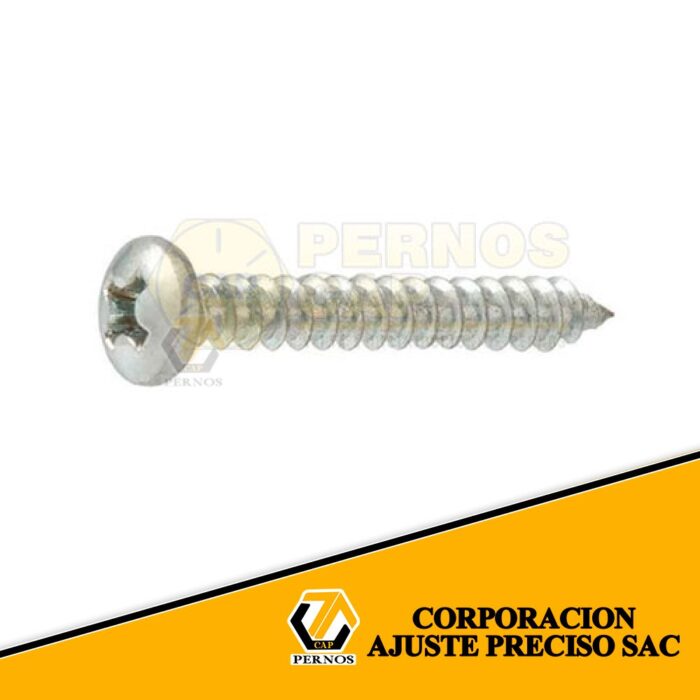 1-AUTORROSCANTE-CABEZA-PAN-pernoscap (Protegida)