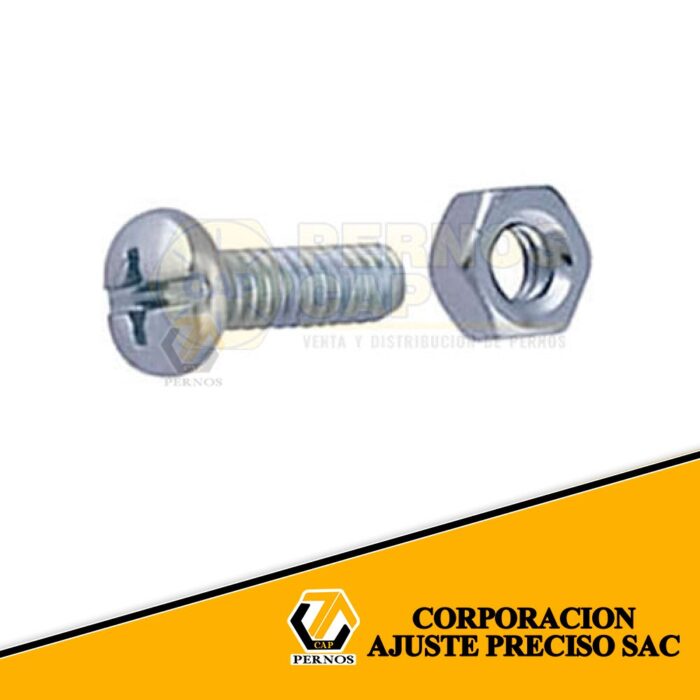 1-PERNO-CON-RANURA-COMBINADA-PERNOSCAP (Protegida)