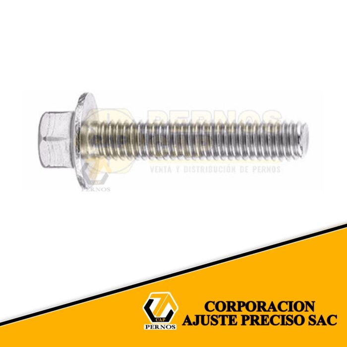 1-PERNO-FLANGE-PERNOSCAP (Protegida)