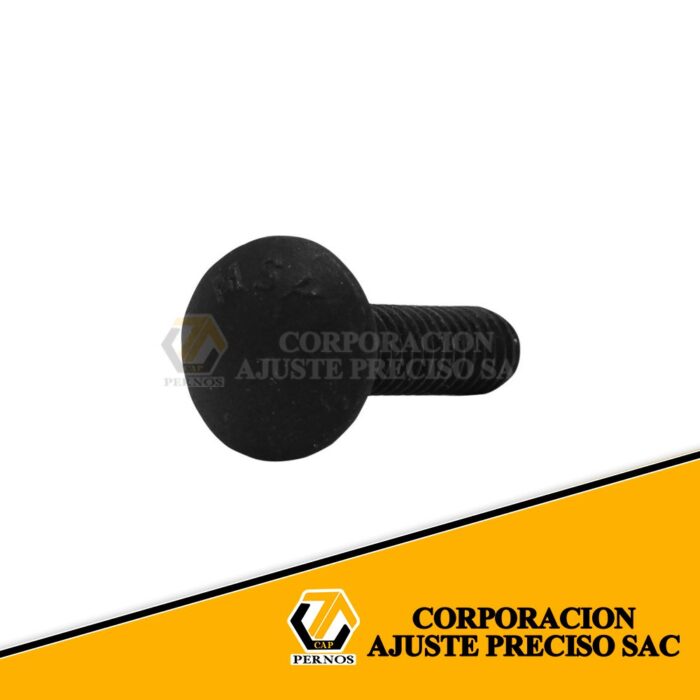 Coche-negro-5.16x1.1.2 (Protegida)