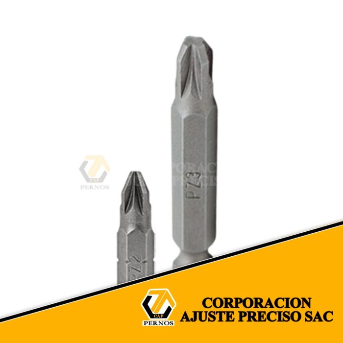 DESTONILLADOR-POZIPZ2-WEB (Protegida)