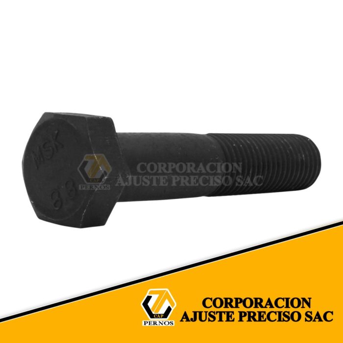 M-24x100-1 (Protegida)