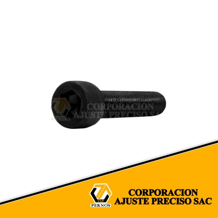 M10x50_11d96181-08e0-4248-b4a6-de39c6bcc484 (Protegida)