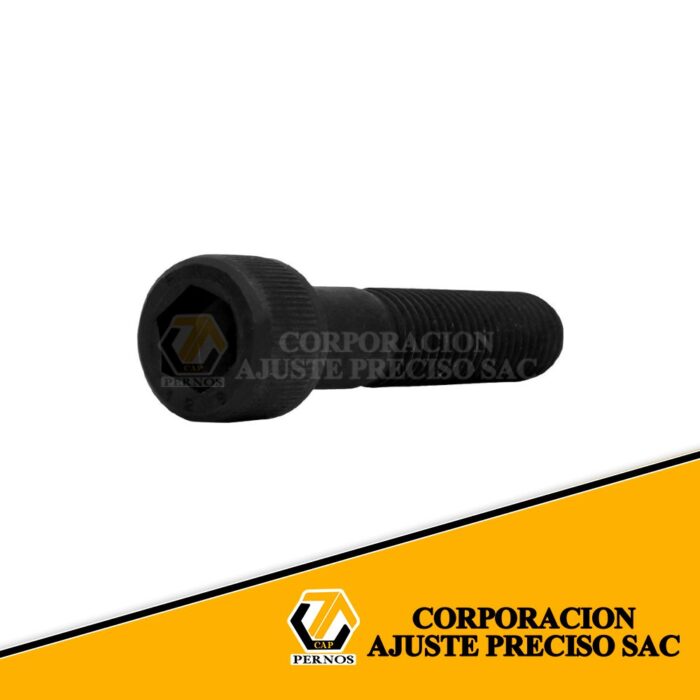 M12x60_13c380de-7272-4dd0-aea2-343fb2324896 (Protegida)