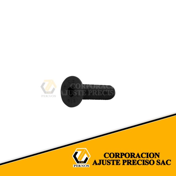 M5x20_0b40b211-ebb6-444b-bf85-cffebd1914bf (Protegida)