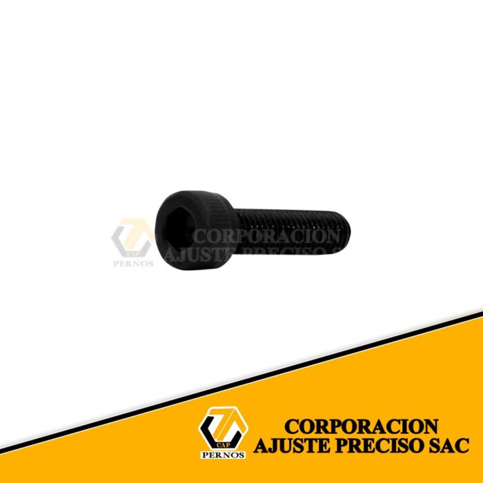 M5x20_c5e83eca-0d08-41a5-a10d-321584734b52 (Protegida)