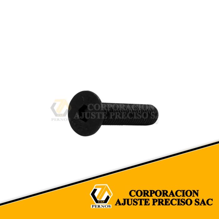 M5x30-flat (Protegida)