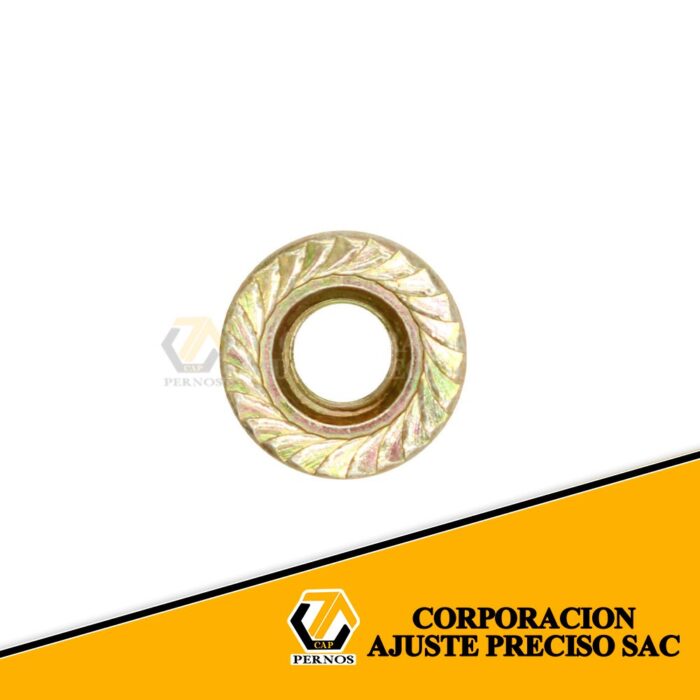 atras-flange (Protegida)