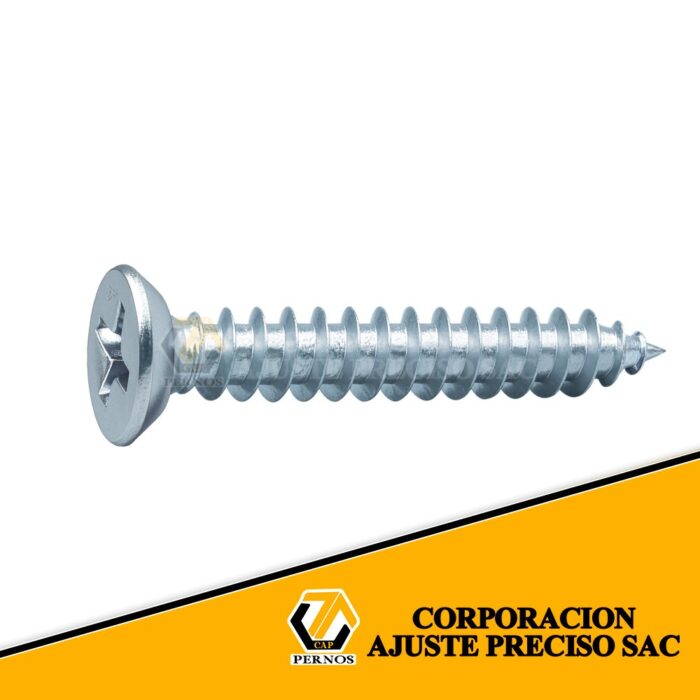 autorroscantecabezaplana-scaled (Protegida)