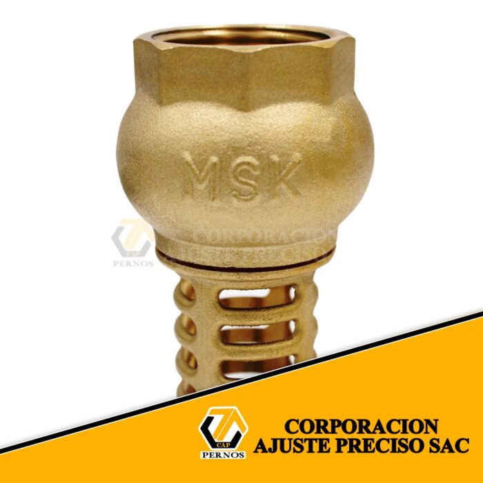 valvula-check-de-compuerta-de-pie-bronce1 (Protegida)