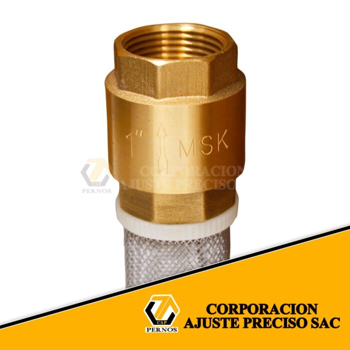 valvula-check-de-compuerta-de-pie-plastico1 (Protegida)