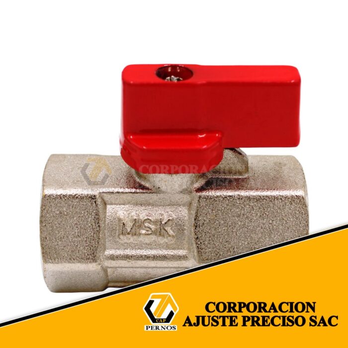 valvula-esferica-mini-hembra-hembra-1-web (Protegida)